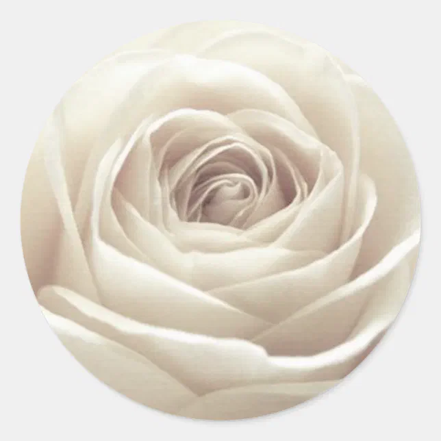 Pretty White Rose Classic Round Sticker | Zazzle