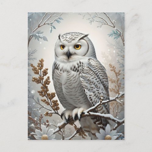 Pretty White Snowy Owl Winter Postcard