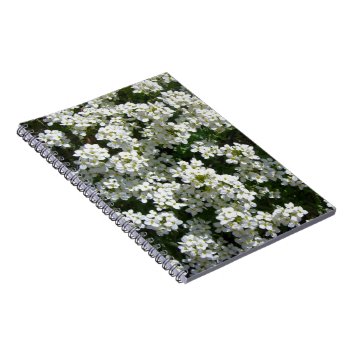 Pretty White Spring Flowers Photo Spiral Notebook by Gingezel at Zazzle