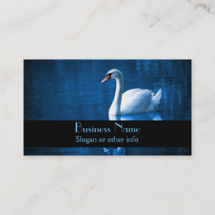Pretty white swan floating on a blue lake business card