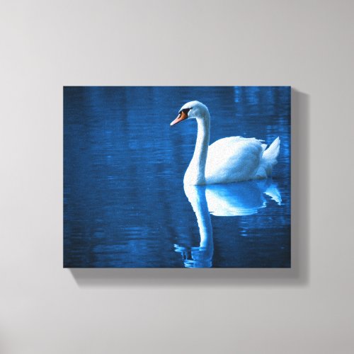 Pretty white swan floating on a blue lake canvas print