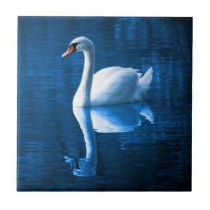 Pretty white swan floating on a blue lake ceramic tile