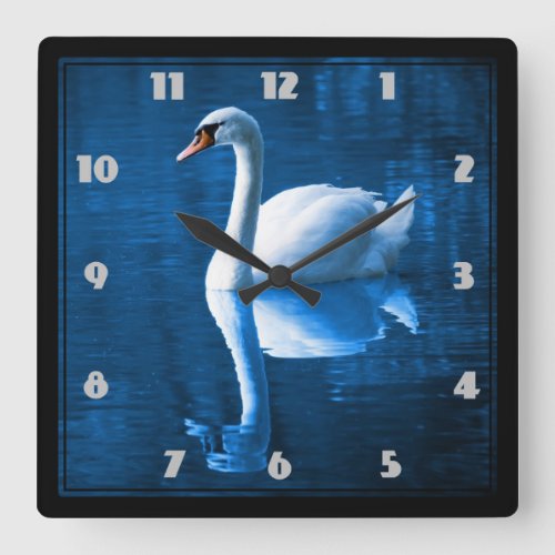 Pretty white swan floating on a blue lake square wall clock