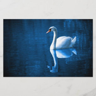 Pretty white swan floating on a blue lake stationery