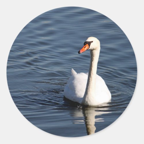 Pretty White Swan Photo Classic Round Sticker