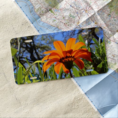 Pretty Wildflower Front License Plate