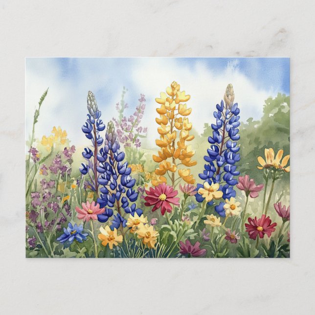 Pretty Wildflowers Colorful Floral Beautiful Postcard (Front)