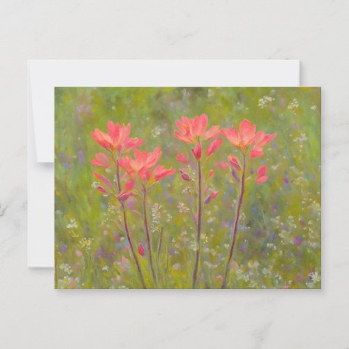 Pretty Wildflowers Indian Paintbrush Floral Postcard