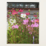 Pretty wildflowers. planner<br><div class="desc">Taken at the local garden centre.</div>