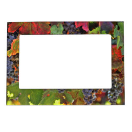 Pretty Wine Country Themed Magnetic Frame