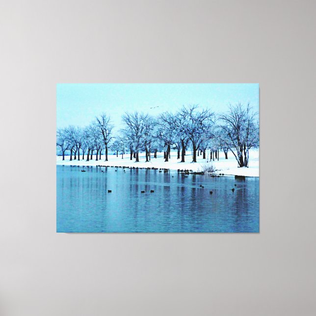 Pretty Winter Pond Wrapped Canvas Print (Front)