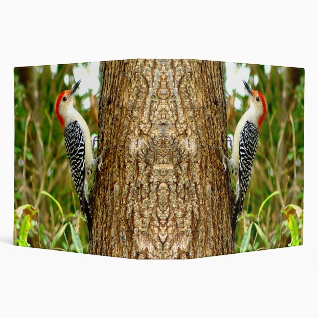 Pretty Woodpecker 2'' Bird Binder (Background)
