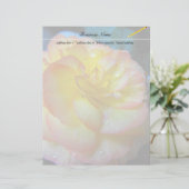 pretty yellow begonia flower (Standing Front)