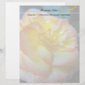pretty yellow begonia flower (Front/Back)