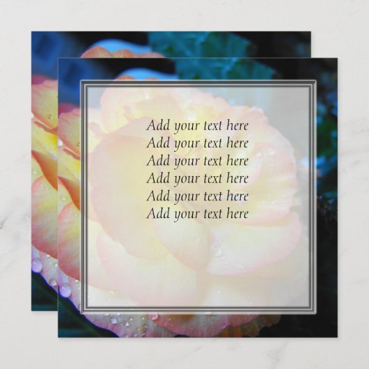 pretty yellow begonia flower (Front/Back)