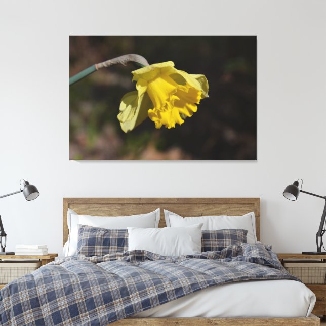 Pretty Yellow Daffodil Flower 48.00" x 32.00" Canvas Print (Insitu(Bedroom))