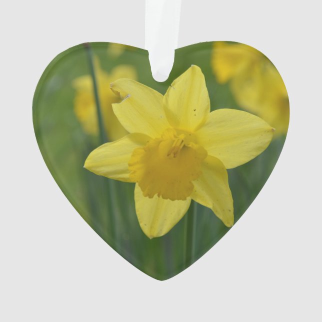Pretty Yellow Daffodil Ornament (Back)
