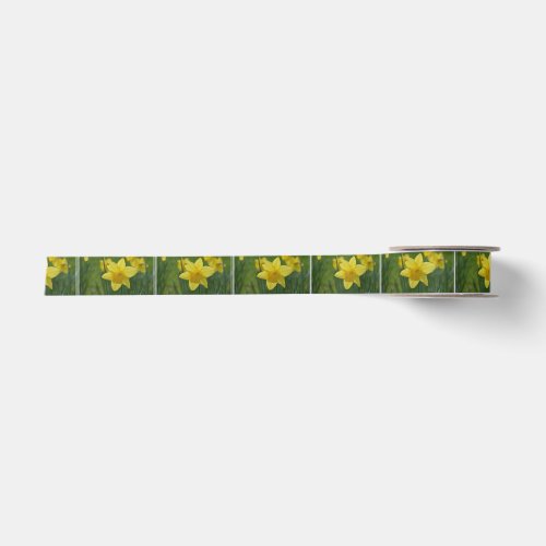 Pretty Yellow Daffodil Satin Ribbon
