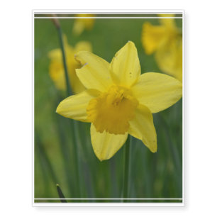 Pretty Yellow Daffodil Temporary Tattoos