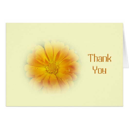 pretty yellow daisy flower cards (Front Horizontal)