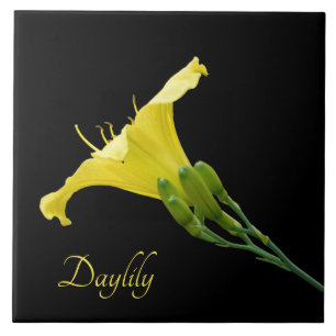 Pretty yellow daylily on black ceramic tile
