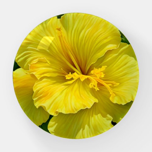 Pretty Yellow Flower Hibiscus Art Paperweight
