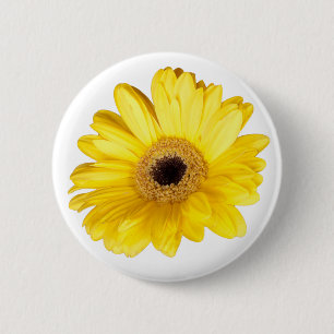 Pretty Yellow Gerber Daisy Close-Up Photograph Pinback Button