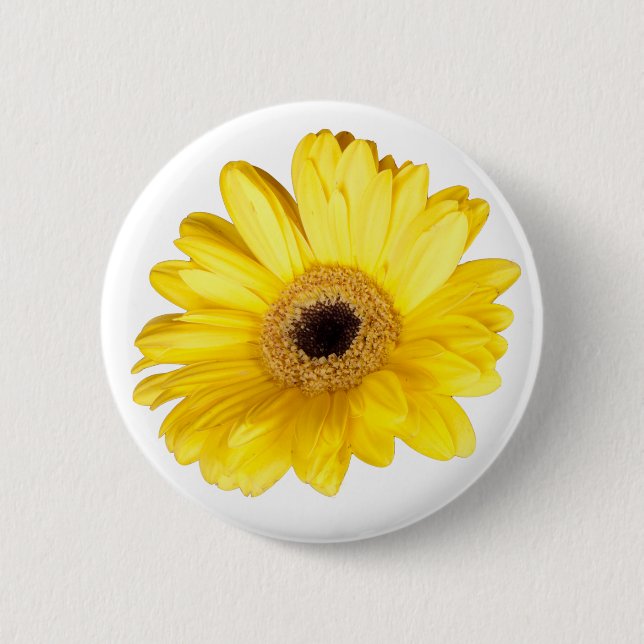 Pretty Yellow Gerber Daisy Close-Up Photograph Pinback Button (Front)