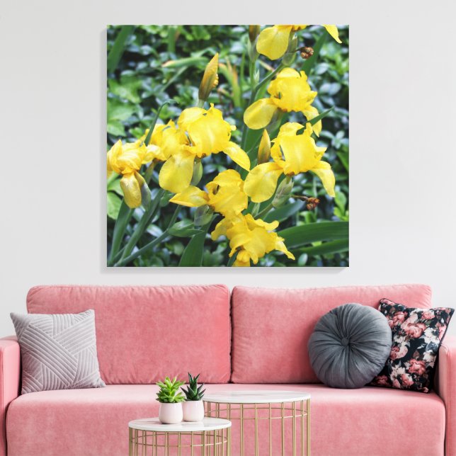 Pretty Yellow Iris Flower Garden Canvas Print (Insitu(LivingRoom))