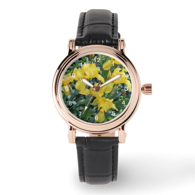 Pretty Yellow Iris Flowers Watch (Front)