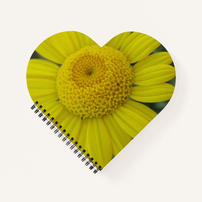 Pretty yellow marguerite notebook (Front)