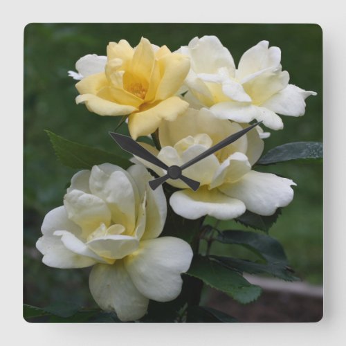 Pretty Yellow Roses Nature Square Wall Clock