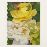 Pretty yellow roses. planner<br><div class="desc">Taken at a local doctors surgery.</div>
