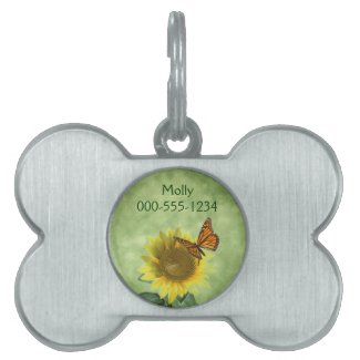 Pretty Yellow Sunflower and Orange Butterfly