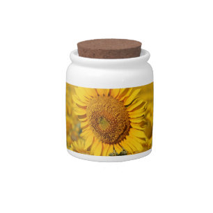 Pretty Yellow Sunflower Candy Jar