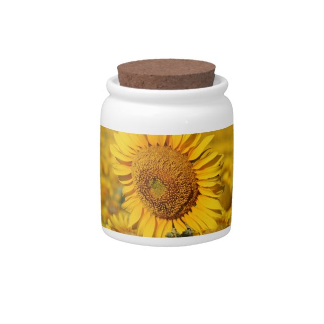 Pretty Yellow Sunflower Candy Jar (Front)