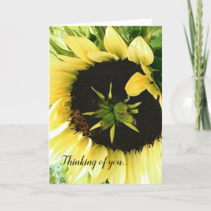 Pretty Yellow Sunflower Get Well Card