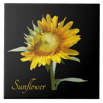 Pretty Yellow Sunflower On Black Ceramic Tile by PicturesByDesign at Zazzle