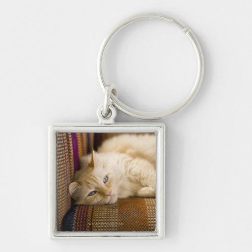 Pretty yellow tabi cat laying on couch keychain