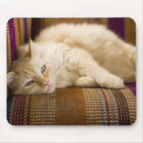 Pretty yellow tabi cat laying on couch mouse pad