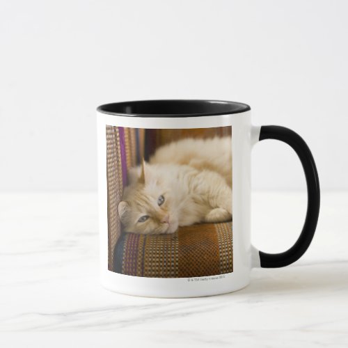 Pretty yellow tabi cat laying on couch mug