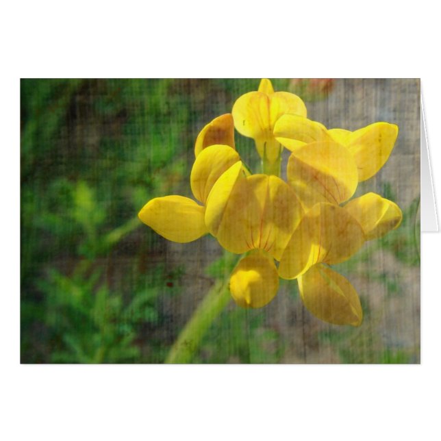 Pretty Yellow Weed Cards (Front Horizontal)