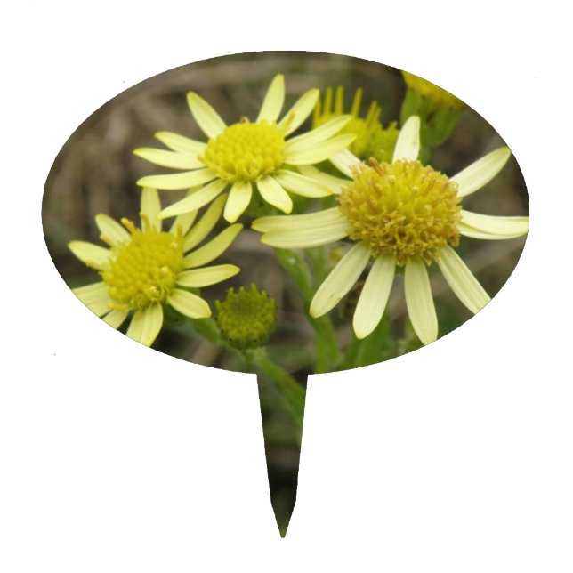 Pretty Yellow Wildflowers Cake Pick (Front)