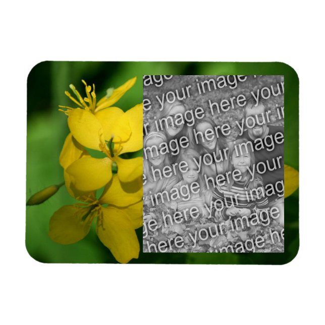 Pretty Yellow Wildflowers Frame Add Your Photo Magnet (Horizontal)