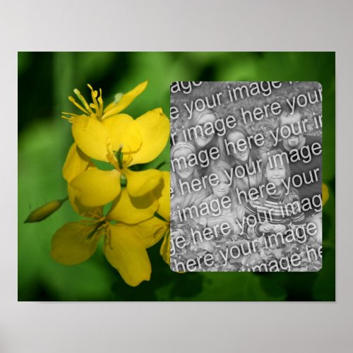 Pretty Yellow Wildflowers Frame Add Your Photo Poster