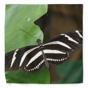 Pretty Zebra Longwing Butterfly Bandana