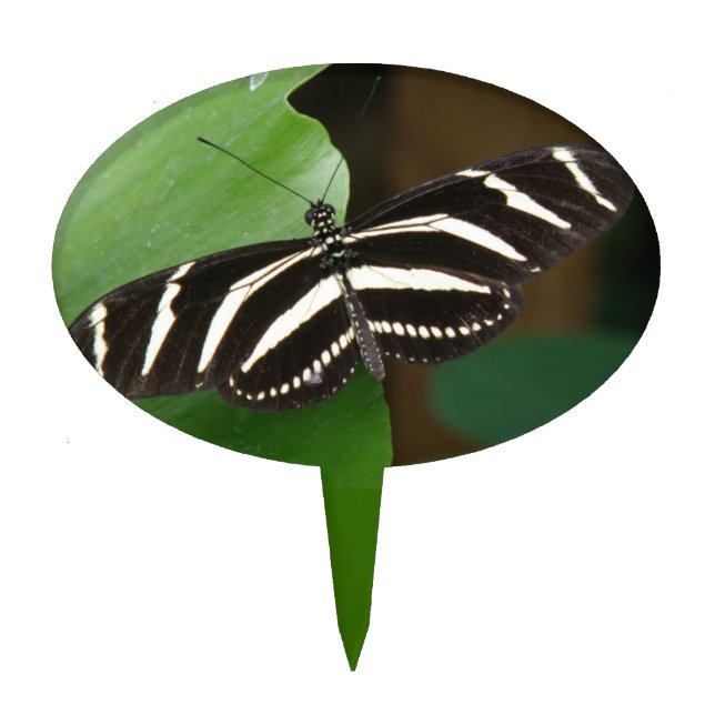 Pretty Zebra Longwing Butterfly Cake Pick (Front)