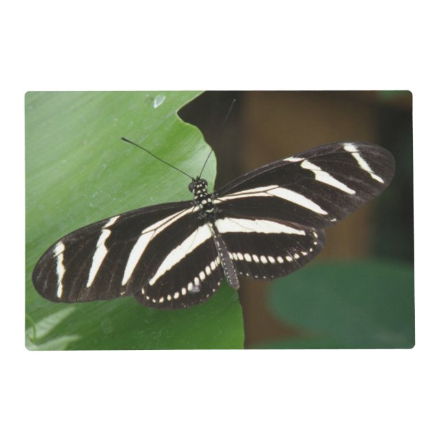 Pretty Zebra Longwing Butterfly Custom Placemat (Front)