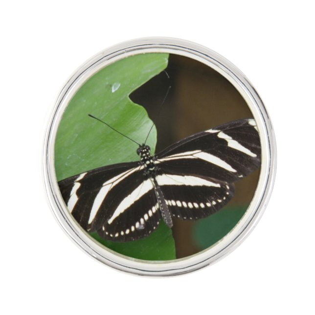 Pretty Zebra Longwing Butterfly Lapel Pin (Front)