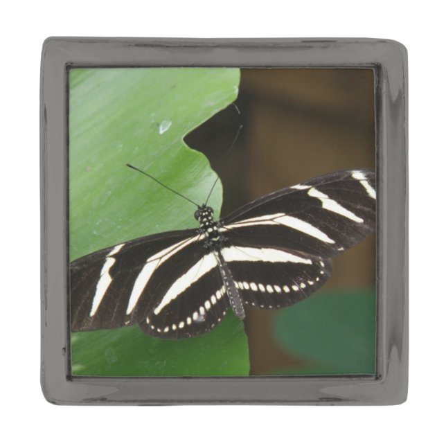 Pretty Zebra Longwing Butterfly Lapel Pin (Front)
